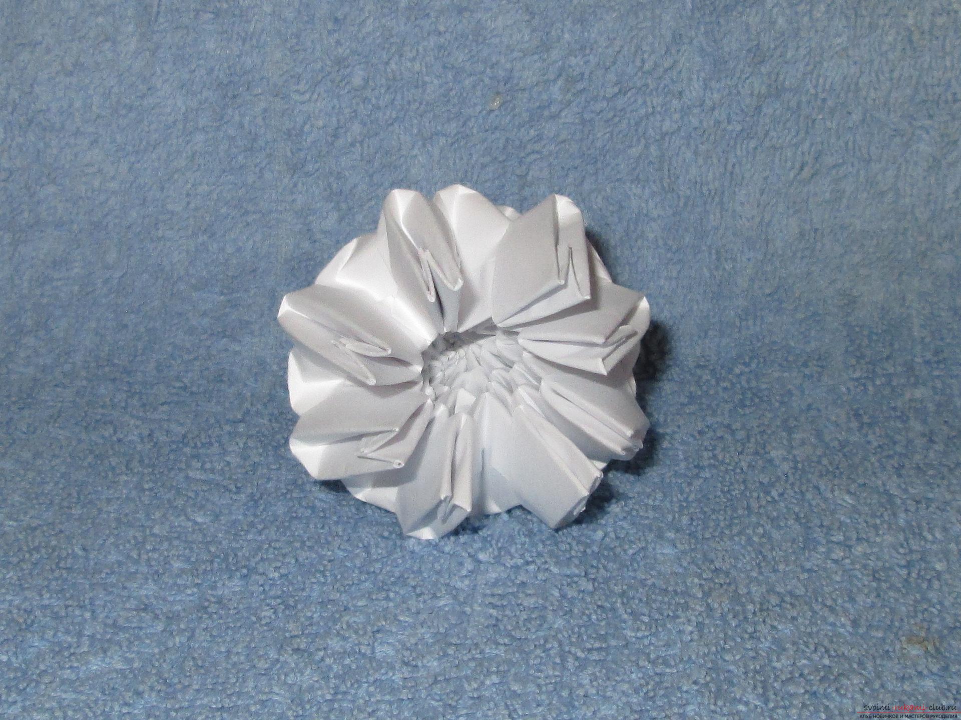 Если вы любите собирать модульное оригами, этот мастер-класс по созданию дельфина из бумаги для вас.. Фото №4